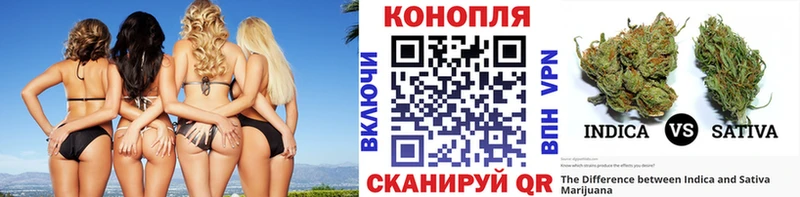 Бошки марихуана VHQ наркотики KRAKEN ссылки Цивильск